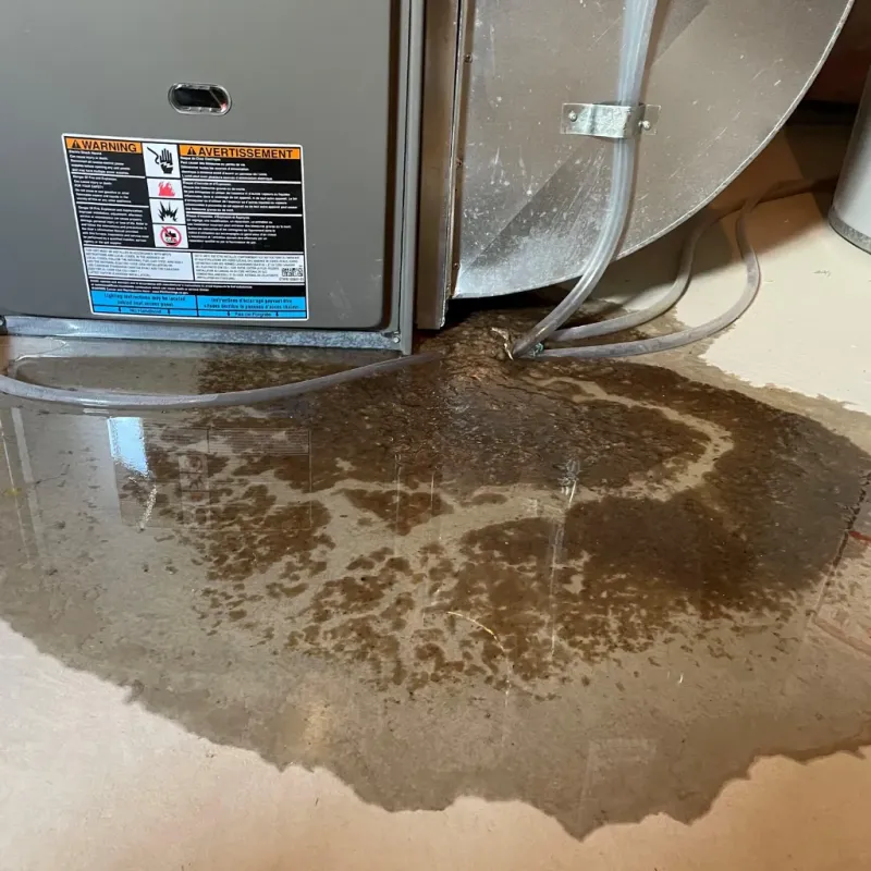 Appliance Leak Cleanup in Highland, IN