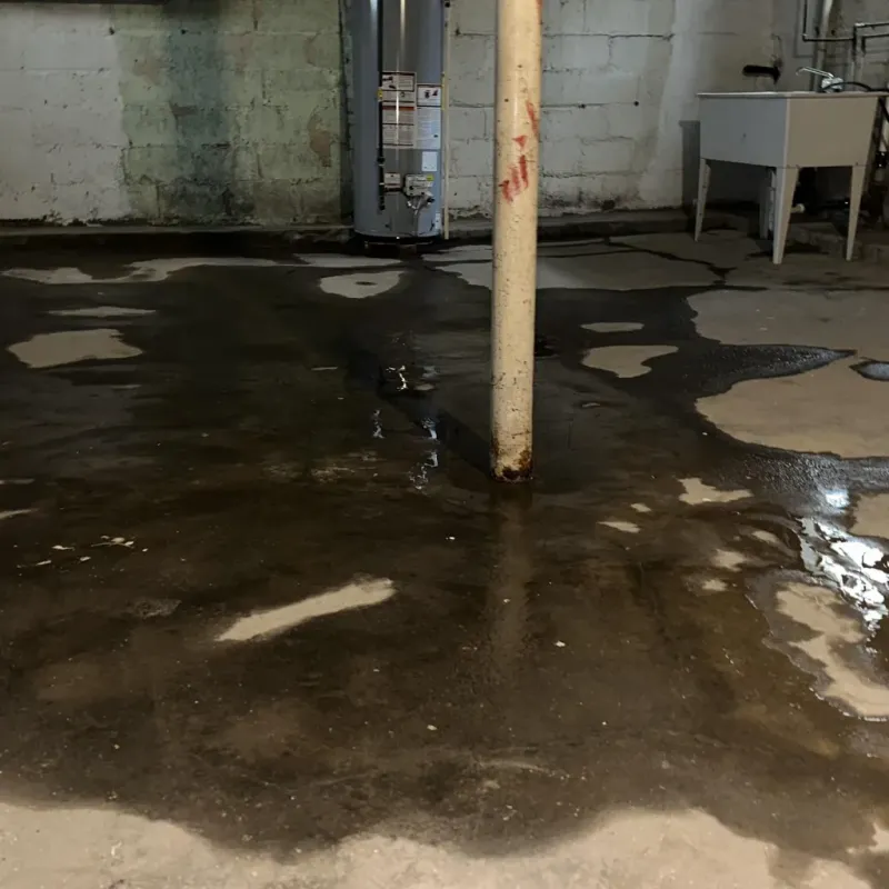 Emergency Water Extraction And Removal in Highland, IN
